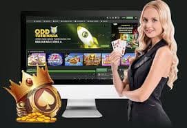 Tampilan dashboard keamanan pengguna anakboss88 untuk menjaga privasi dan kontrol akun